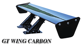 GTWING CARBON